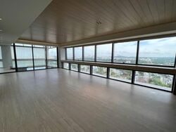 Hana (D10), Condominium #538976871